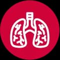 Lung Cancer
