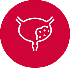 Bladder cancer icon