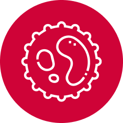 Non-Hodgkin Lymphoma icon