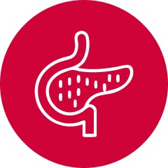 Pancreatic Cancer icon