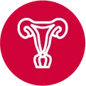 Cervical Cancer