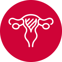 Endometrial cancer icon