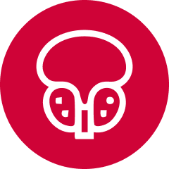 Prostate cancer icon