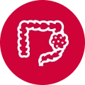Colon and rectal screening icon