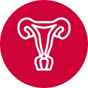 Gynecologic Cancers icon