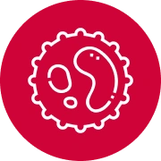 Hematologic Cancers (Lymphoma & Myeloma) icon