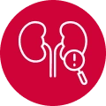 Organ-specific screening icon