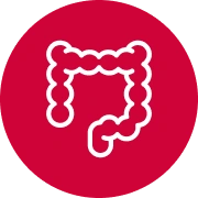 Colorectal cancer icon