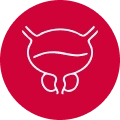 Prostate screening icon