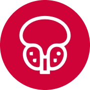 Prostate & Urologic Cancers icon